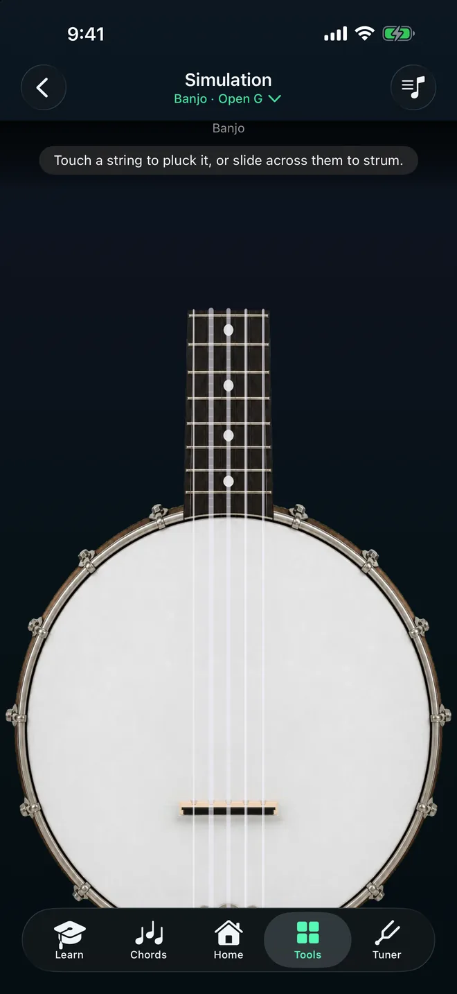 Banjo screenshot: Simulation, a 5-string banjo neck and head filling the screen, ready to pick or strum