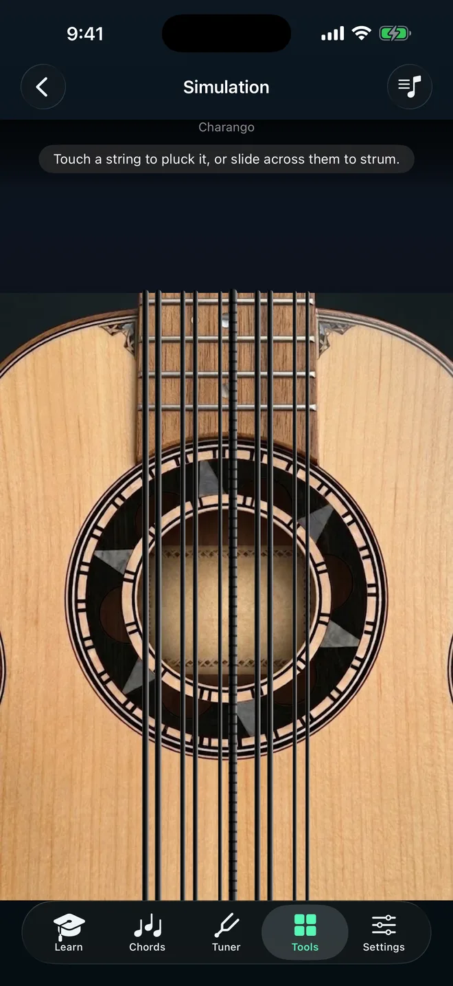 Charango screenshot: Simulation, a charango body and strings filling the screen, ready to strum